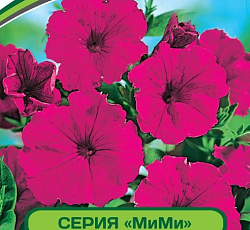Петуния МиМи Мирелла F1 многоцветковая каскадная