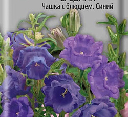 Колокольчик средний Чашка с блюдцем Синий