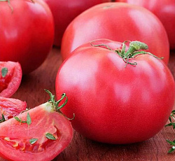 Томат Третьяковский F1
