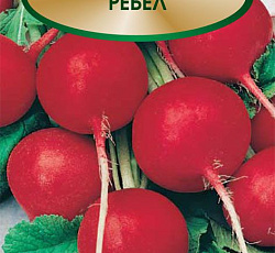 Редис Ребел