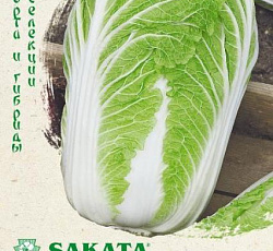 Капуста пекинская Ричи F1