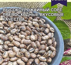 Фасоль овощная Пинто