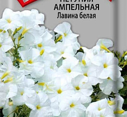 Петуния ампельная Лавина белая