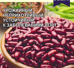 Фасоль овощная Лобио