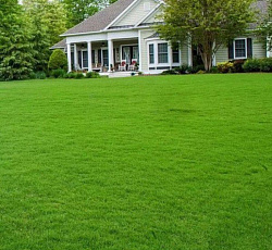 Газон ТопГрин Мини, 10 кг