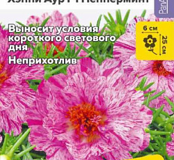 Портулак Хэппи Аур Пепперминт F1