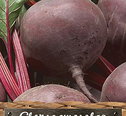 Свекла Боро F1