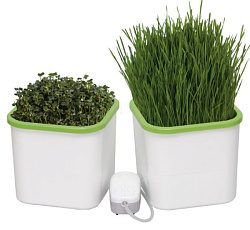 Гидропонный проращиватель "Здоровья Клад" (2х-модульный)