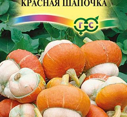 Тыква декоративная Красная шапочка (чалмовидная)
