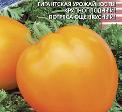 Томат Мишка косолапый желтый