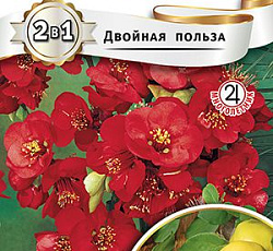 Хеномелес Домашнее варенье