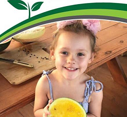 Арбуз Фейерверк F1