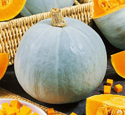 Тыква Крошка