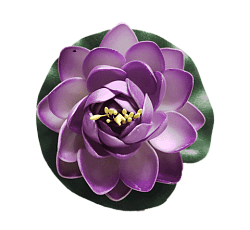 Лилия водоплавающая Фиолетовая d-10см