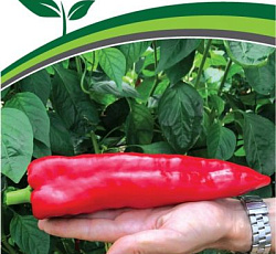 Перец сладкий Ласанта F1