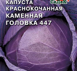 Капуста краснокочанная Каменная головка 447