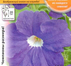 Петуния Русский размер Синяя F1