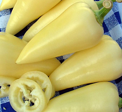 Перец сладкий Белозерка