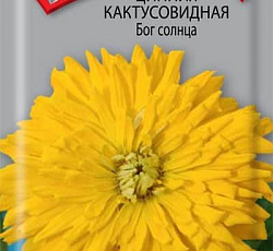 Цинния кактусовидная Бог солнца