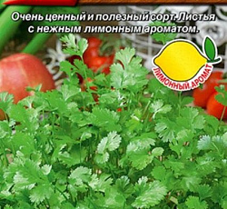 Кориандр (кинза) Кавказский