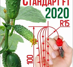 Огурец Стандарт F1