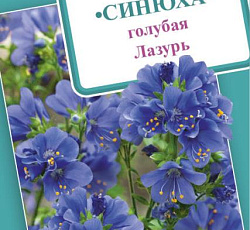 Синюха (полемониум) голубая Лазурь