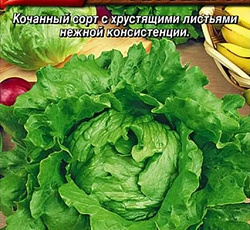 Салат Невский айсберг (листовой)