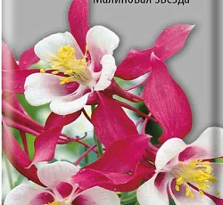 Аквилегия гибридная Малиновая Звезда