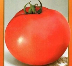 Томат Король рынка IV F1