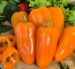 Перец сладкий Апельсин