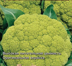 Капуста цветная Золотая краса
