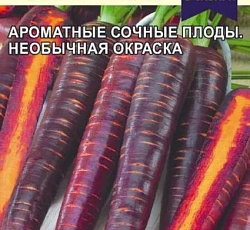 Морковь Чурчхела фиолетовая