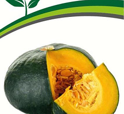 Тыква Марисоль F1