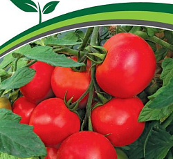 Томат Лимеренс F1
