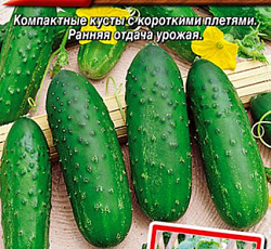 Огурец Балкончик F1