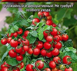 Томат Видимо-невидимо