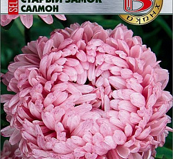 Астра китайская Старый замок селект Салмон