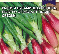 Лук Красный пучок (на зелень)