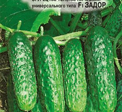 Огурец Задор F1