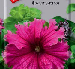 Петуния Фриллитуния роз
