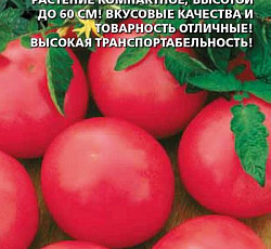 Томат Санька розовый