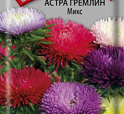 Астра гремлин Микс