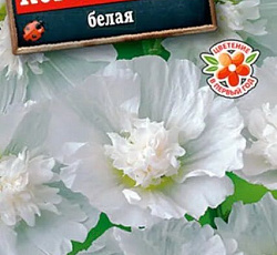 Шток-роза Королевская Белая