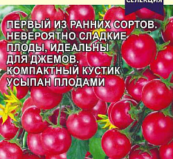 Томат Карамелька