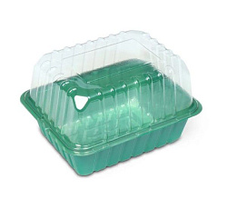 Парник на подоконник 1 место