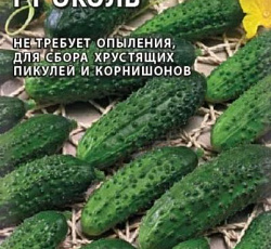 Огурец Эколь F1