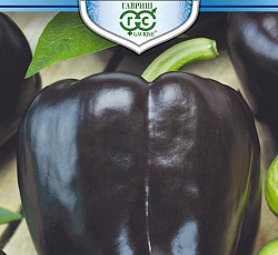 Перец сладкий Пурпурный бык