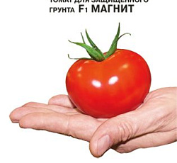 Томат Магнит F1