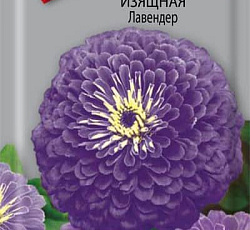 Цинния изящная Лавендер