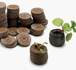 Торфяные таблетки Jiffy-7 (24 мм-10 шт)